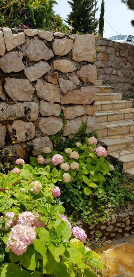 Kuca Za Odmor Jelena Starigrad Paklenica Exterior foto