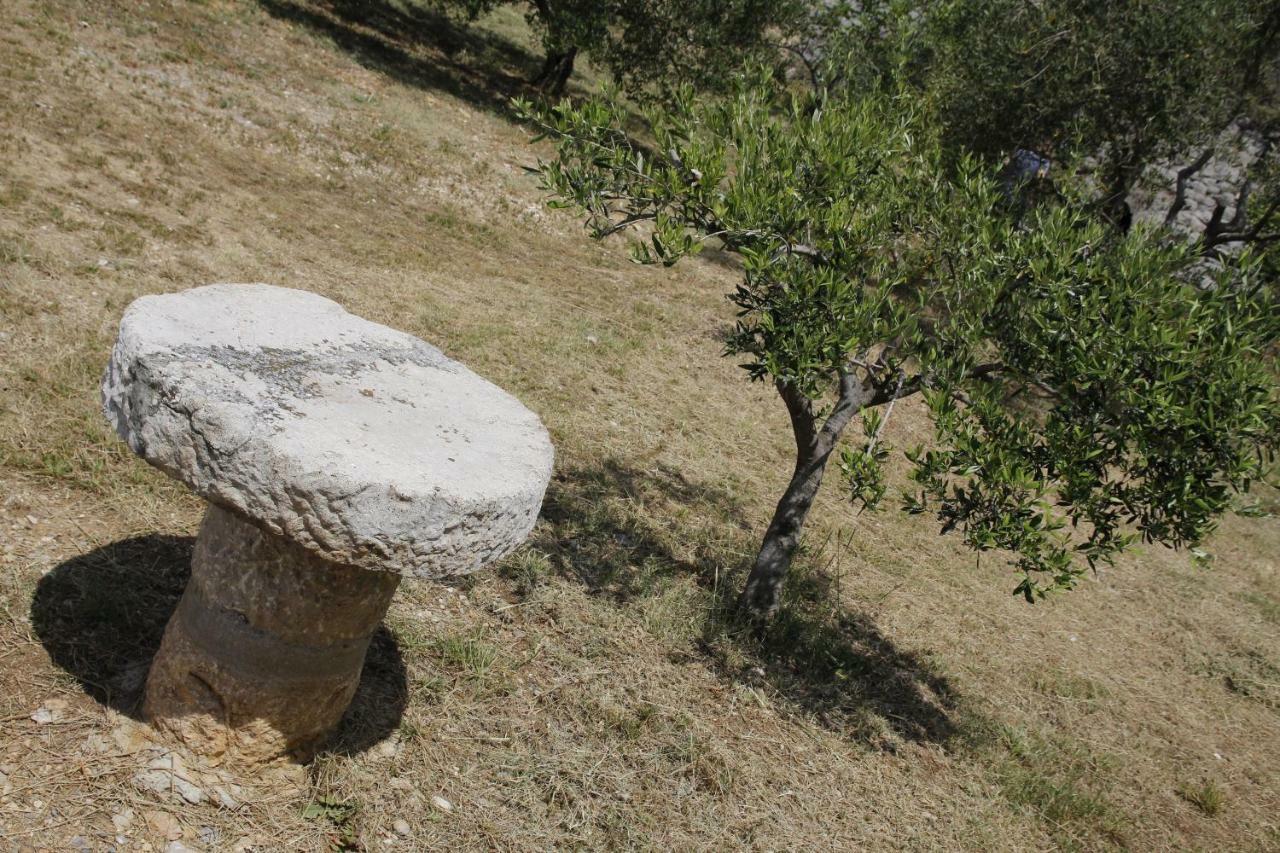Kuca Za Odmor Jelena Starigrad Paklenica Exterior foto